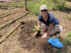 IMG_7988.MOV-0001 (1)