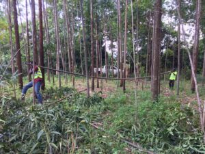 Site Preparation (2)